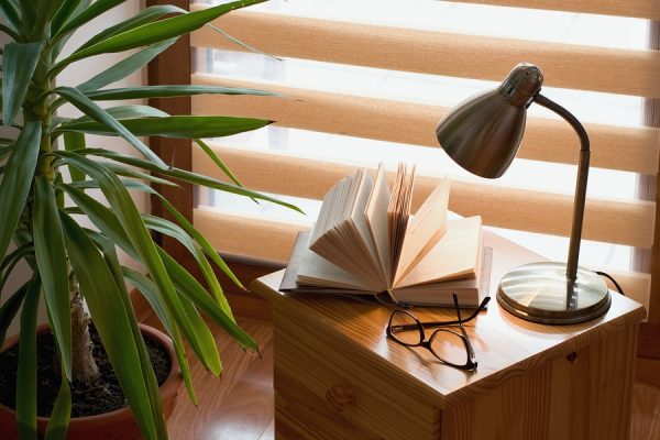 Wooden blinds in background with table, book, glasses, lamp and plant in foreground. 