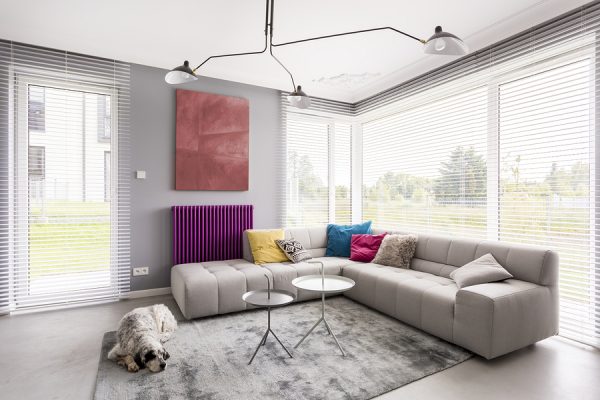 Sunroom shades in the windows with a sectional couch, decorative lighting and a dog on a gray rug.